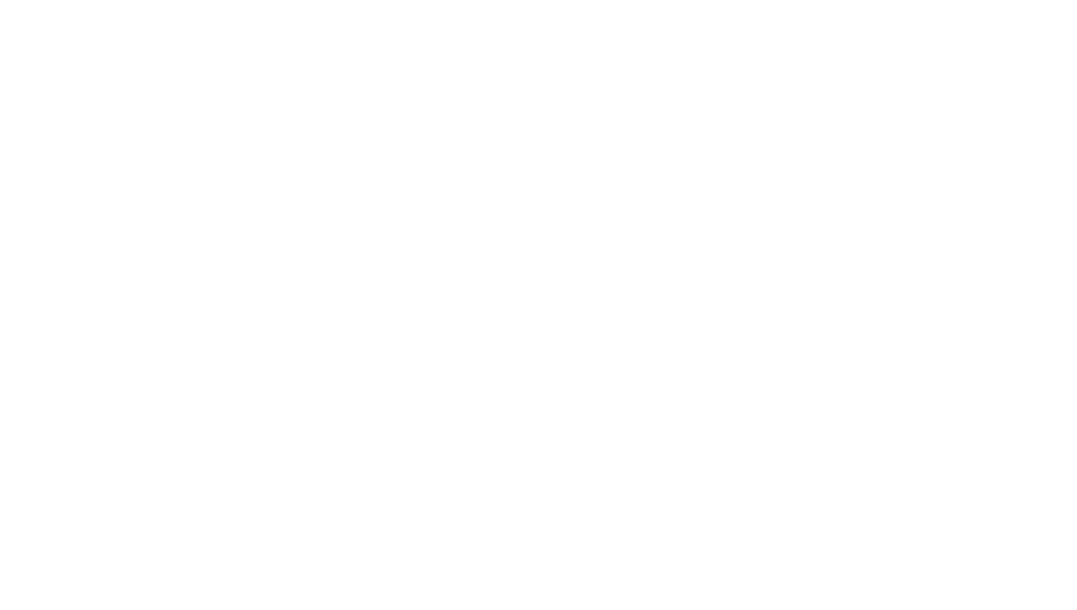 NAP Construction